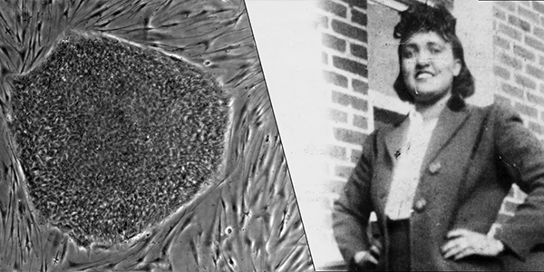 HeLa: Her Cells, Her Legacy
